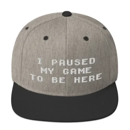 I paused my game Snapback - Image 12
