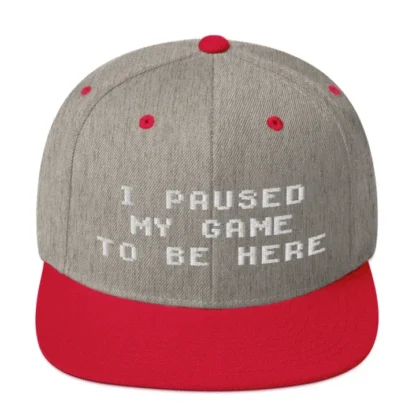 I paused my game Snapback - Image 14