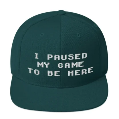 I paused my game Snapback - Image 11