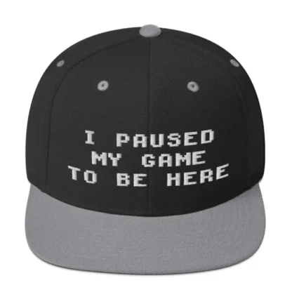 I paused my game Snapback - Image 5