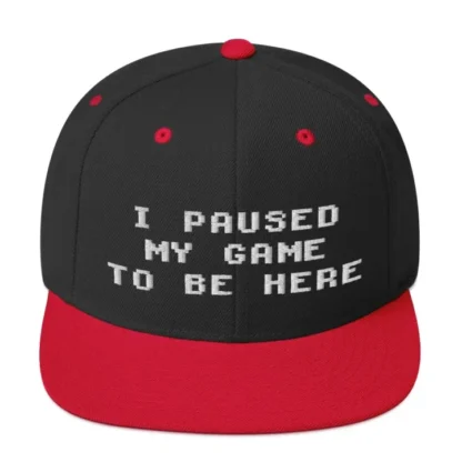 I paused my game Snapback - Image 3