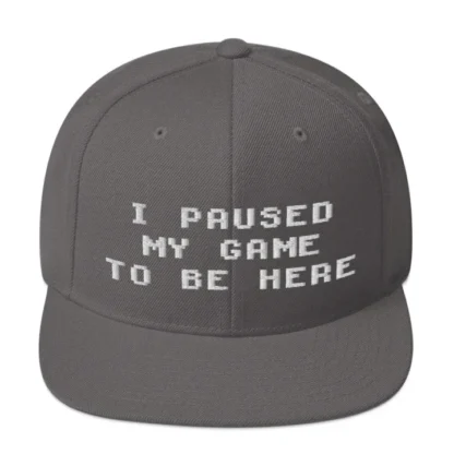 I paused my game Snapback - Image 7