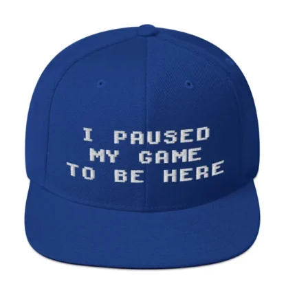 I paused my game Snapback - Image 15